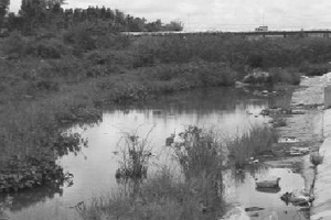 Nỗi buồn theo nước sông Ba: Bên dòng sông chết