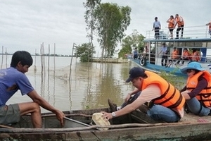 Hợp tác mở tour du lịch "Đồng Tháp mùa nước nổi"