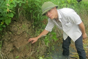 Cánh đồng xương khổng lồ ở Thanh Hóa