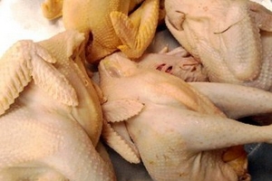 Gà đông lạnh 'đá bay' gà sống