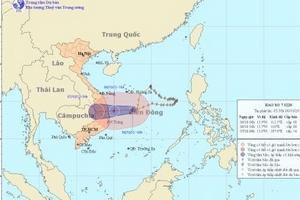 Tin bão khẩn cấp