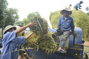 Ám ảnh nỗi đau tai nạn lao động