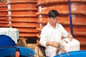 Chưa dán được nhãn 'Nước mắm Phú Quốc'