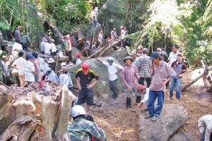 Tịch thu kỳ nam để bán chia nhau