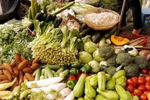 Rau củ dồi dào, giá giảm mạnh