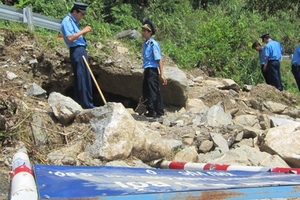 Đào cả quốc lộ tìm gỗ sưa