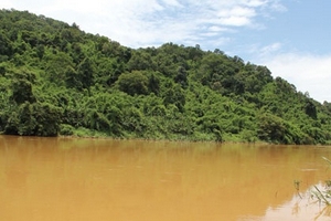 Cân nhắc một dự án thủy điện