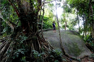 Về dự án Thủy điện Đồng Nai 6, 6A: Không chỉ Đồng Nai ảnh hưởng