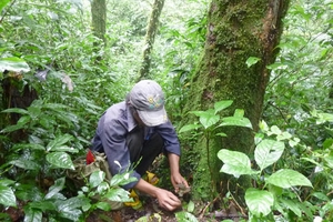 Rừng đặc dụng nghèo vậy sao!