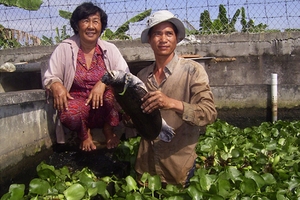 Kỳ án ba ba ở Quảng Bình: Doanh nghiệp sẽ yêu cầu Giám đốc thẩm