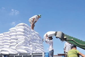 Đường nội gây tranh cãi