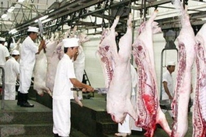 TP.Hồ Chí Minh: Trọng điểm thịt "bẩn", thịt thối