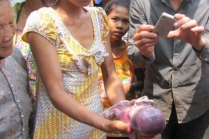 Đổ xô xem heo con có hình thù giống trẻ sơ sinh