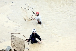 Đã tìm được thi thể bốn nạn nhân bị lũ cuốn