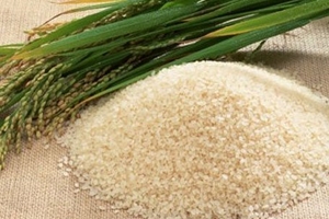 Đòn hiểm của thương nhân Trung Quốc