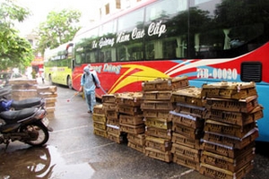 Phát hiện 3 xe du lịch "open tour" chở hàng nghìn gà con trái phép