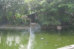 Phát hiện xác chết ở Văn Miếu Quốc Tử Giám