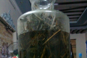 50 triệu đổi lấy một bình rượu hảo hạng