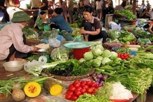 TP.HCM: Rau xanh khan hiếm, đắt đỏ