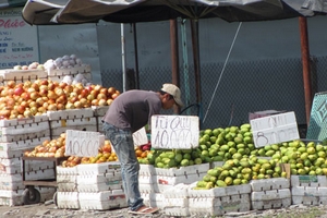 Trái cây Trung Quốc tràn về quê