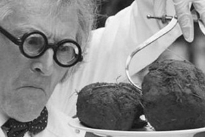 Thị trường 'dậy sóng' với cà phê phân voi giả giá 'cắt cổ'