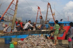 Nghề nước mắm ngắc ngoải vì thương lái TQ