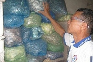 Thương lái Trung Quốc tận thu thảo dược