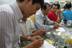 Vàng giả, vàng nhái: Ai đen thì chịu?