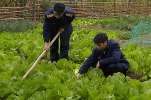 Ra đảo học lính "bí kíp"... nuôi, trồng