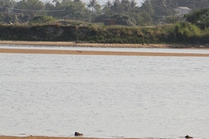 Quảng Ngãi: Rơi khỏi đò, 3 người chết đuối