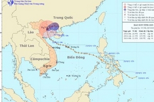 Tin bão khẩn cấp (Cơn bão số 8)