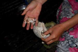 Vụ áo ngực chứa thuốc lạ: Nhiều tỉnh ráo riết xử lý