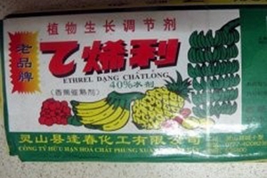 Thuốc Trung Quốc "phù phép" xanh thành chín