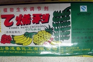 Tiêm hóa chất: Quả xanh chín vàng sau 1 đêm