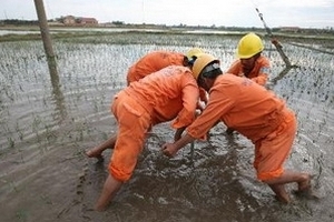 Ngành điện miền Bắc mất 400 tỷ đồng do bão số 8