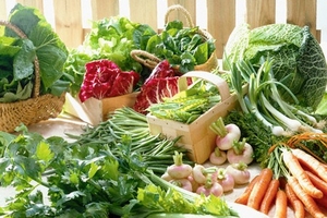 Mua nhiều mới được chứng nhận rau sạch