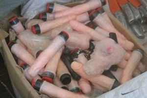 Đua nhau mua hàng 'nhạy cảm'