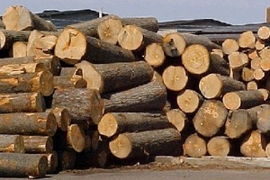 Đồ gỗ: Lo xuất khẩu quên nội địa