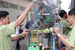 Giải cứu động vật quý hiếm