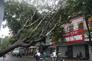 Bí thư Thành ủy bị bắt chẹt khi qua đò trong bão