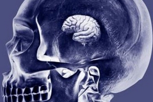 Loài người đang ngày càng ngu đi?