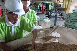 Doanh nghiệp ngoại 'nuốt' ngành chăn nuôi