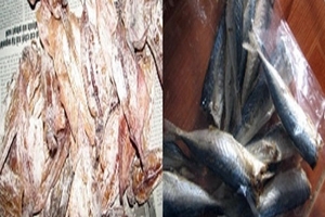 Mực, cá nục khô có thuốc trừ sâu, sẽ tổng kiểm tra