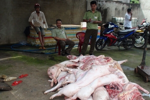 Phát hiện 1,2 tấn thịt heo lậu