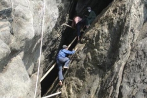 Hội An: Thất thu hàng chục tỷ vì yến sào tồn kho