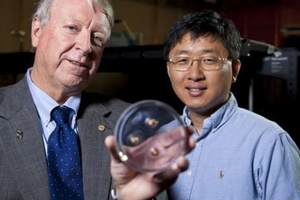 Trình làng siêu vật liệu bắt dính đạn