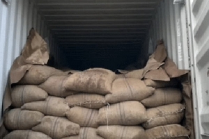 Bùng phát trộm hàng container