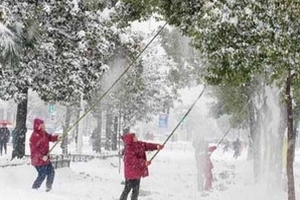 Sống ở nơi lạnh và tối có nguy cơ mắc đa xơ cứng