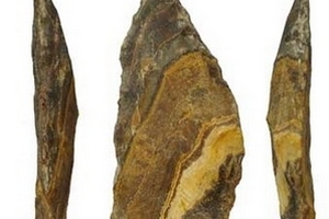 Con người dùng mũi giáo đá cách đây 500.000 năm