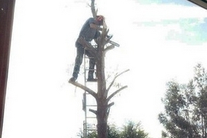 Hà Lan ra mắt hệ thống cảnh báo khẩn cấp toàn dân